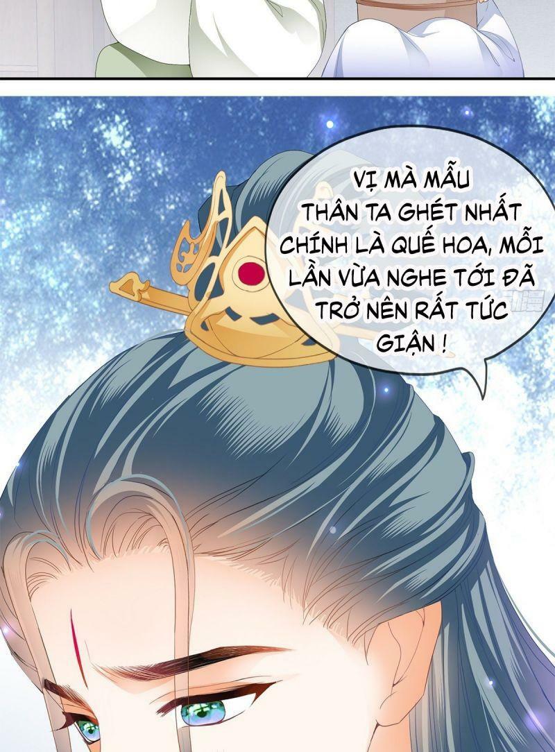 bổn vương muốn nàng chapter 8 33