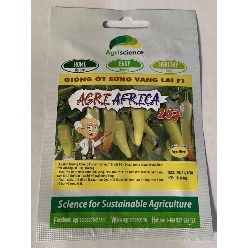 Hạt Giống Ớt Sừng Vàng Lai F1 - AGRI AFRICA 207 -