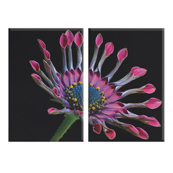 Bộ 2 Tranh Canvas "Nhất Hương" - W145