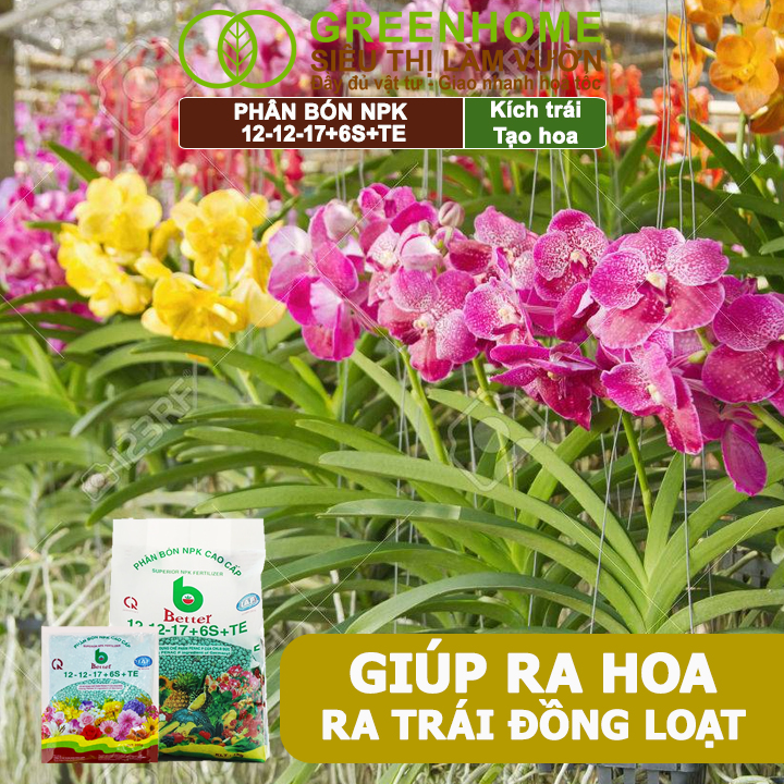 Phân bón NPK 12-12-17-6S+TE Greenhome, Better, Bao 1kg, Tăng Đậu Trái Cây Ăn Củ, Quả