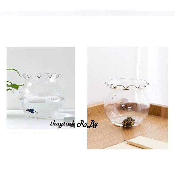 Bể Cá Thủy Tinh Mini, Chậu Cây Thủy Sinh Để Bàn B1
