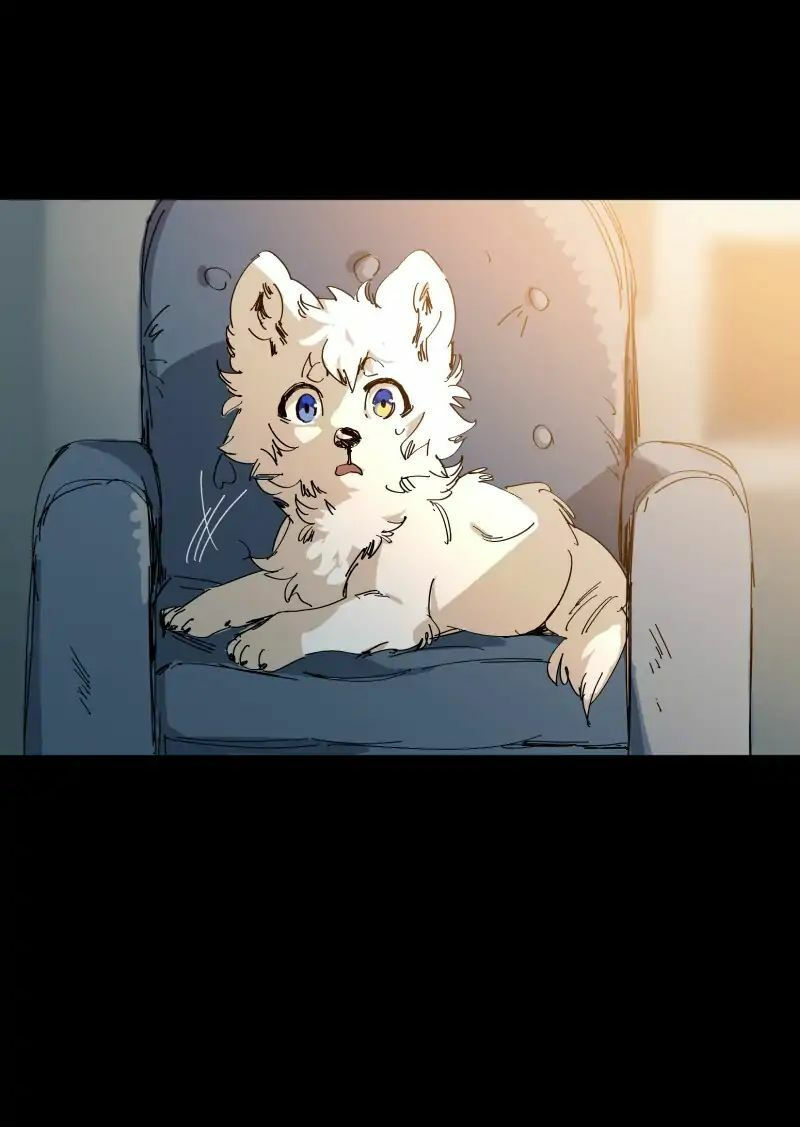 lumine - cội nguồn ánh sáng chapter 63 13