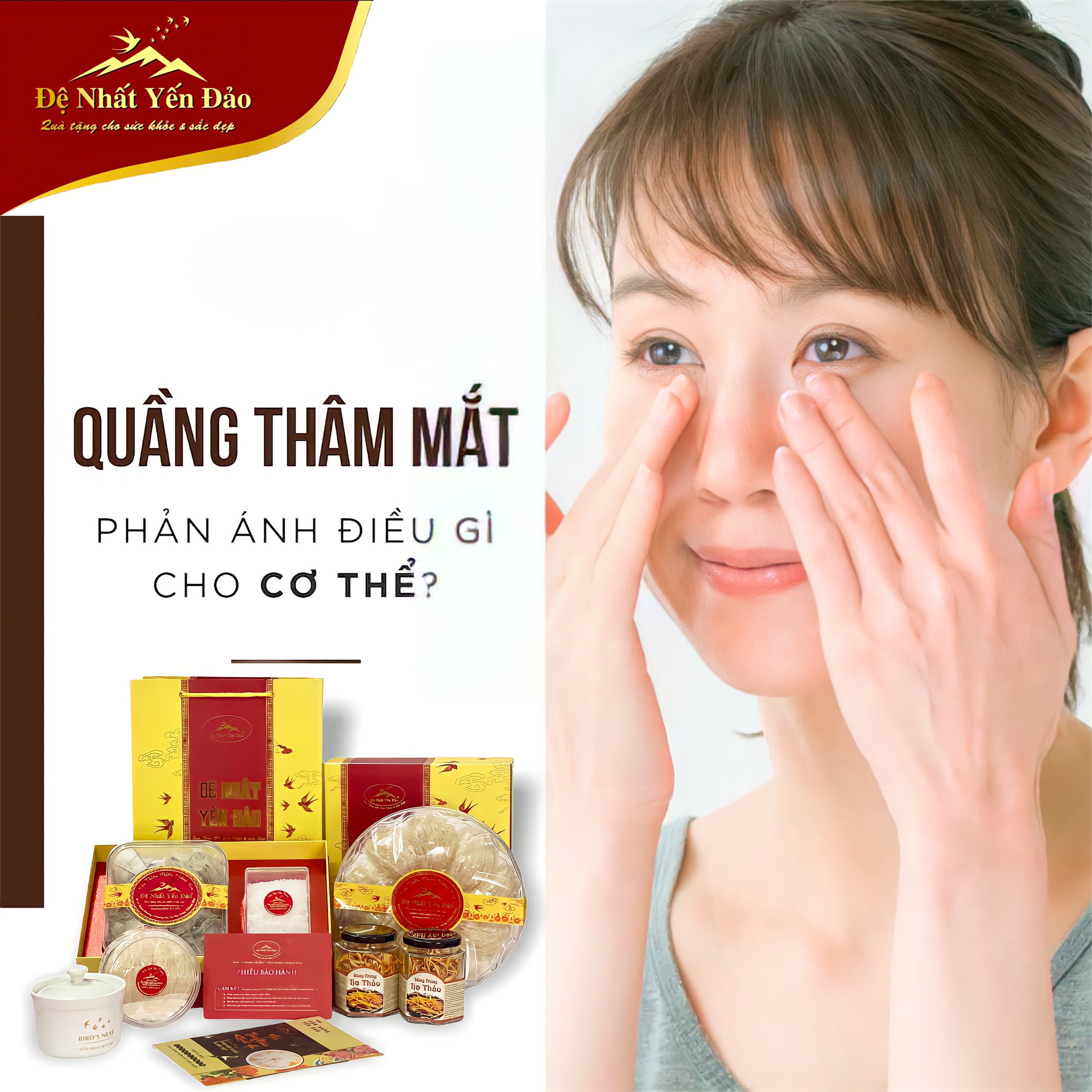 Combo Đệ Nhất Yến Đảo 3  - Yến Nguyên Tổ Rút Lông (hộp 100g) + Nấm Đông Trùng Hạ Thảo (lọ 10g) - Bồi Bổ Sức Khỏe - Tăng Cường Đề Kháng - Phục Hồi Nhanh Sau Thai Kỳ - Hỗ Trợ Sinh Lý Nam Nử