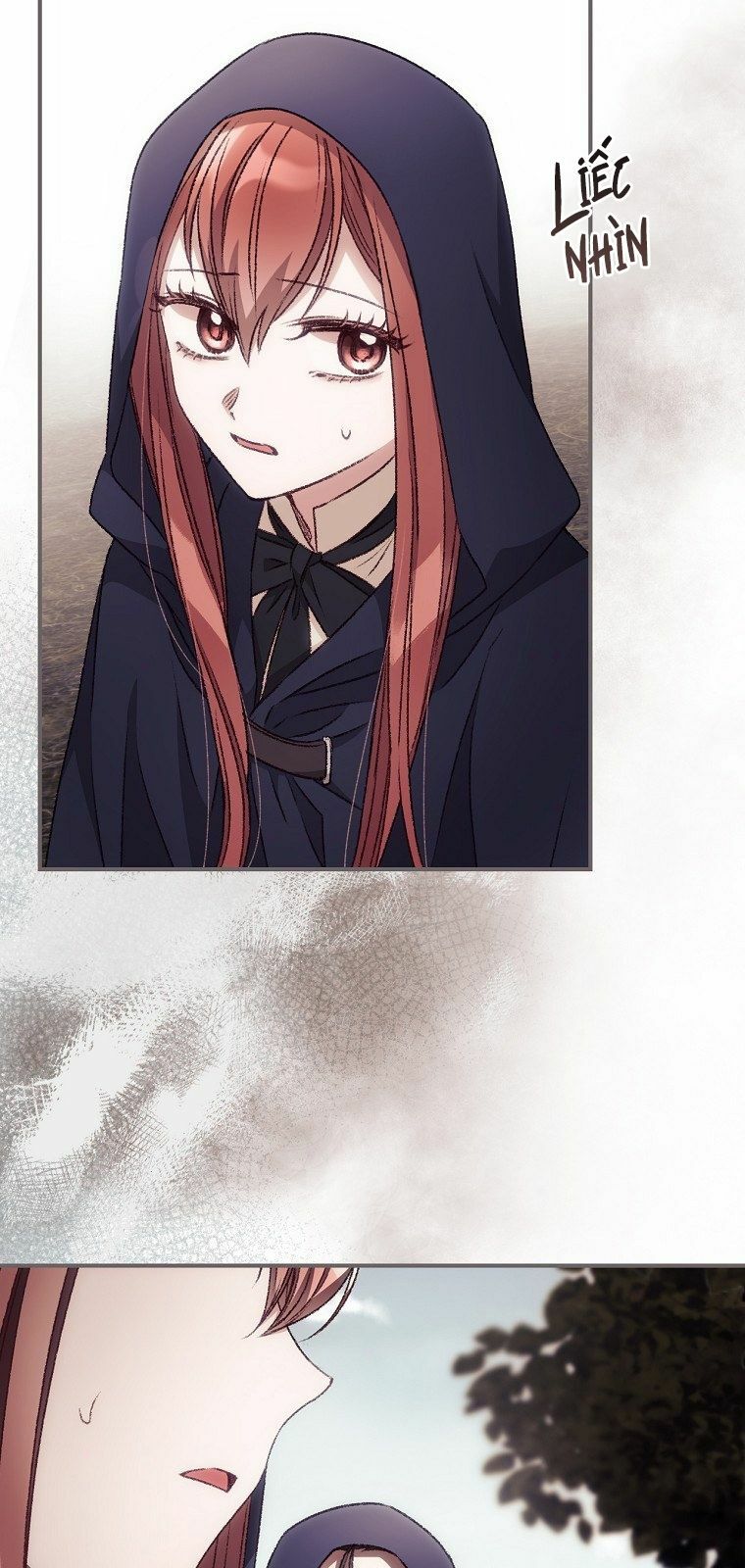 tôi nhìn thấy cái chết của bạn chapter 29 2