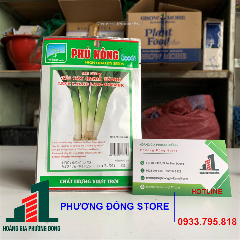 Combo 5- 10 gói hạt giống tỏi tây năng suất cao