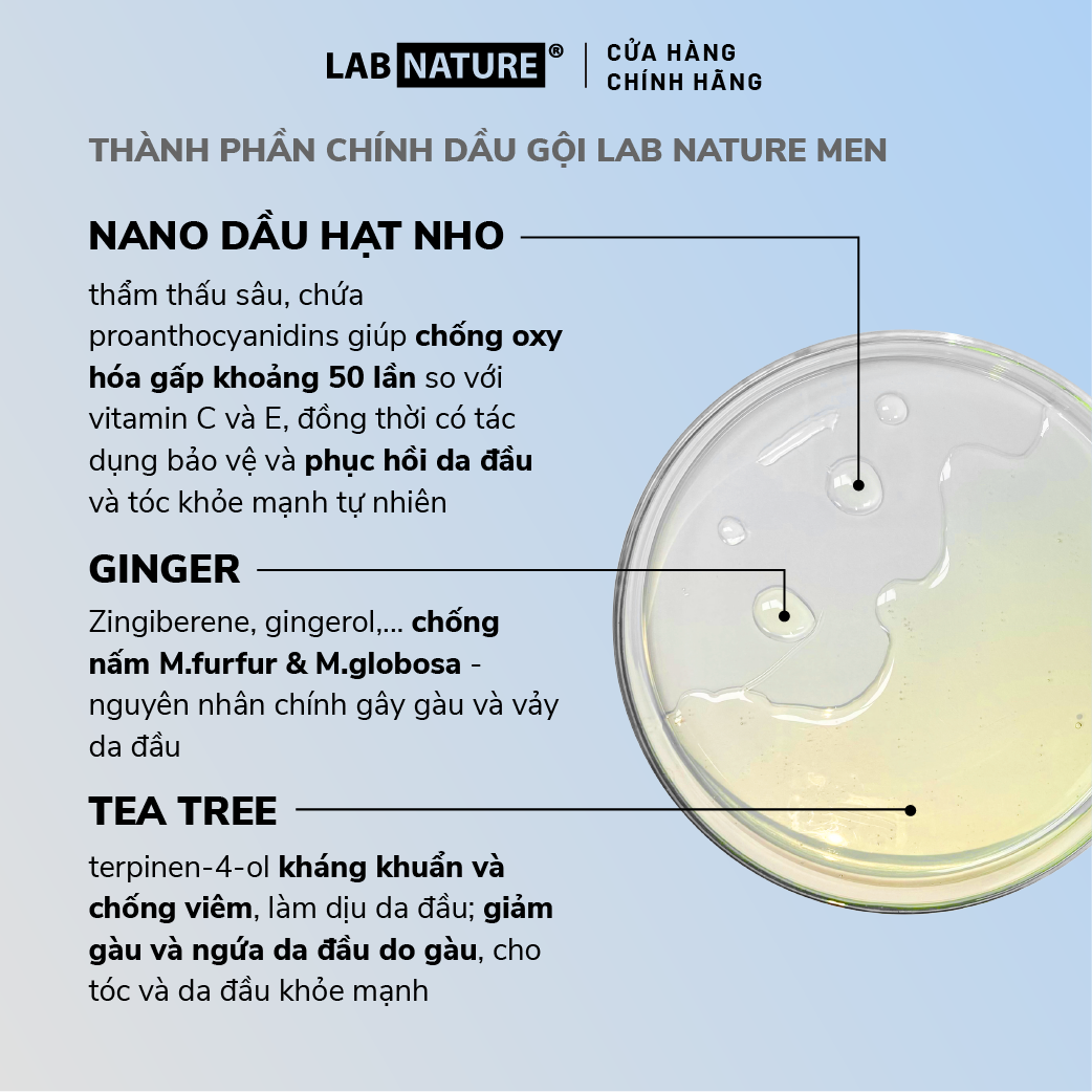 Dầu gội Lab Nature Men Dandruff 260g - Công nghệ Nano Sạch Gàu 2 Lần