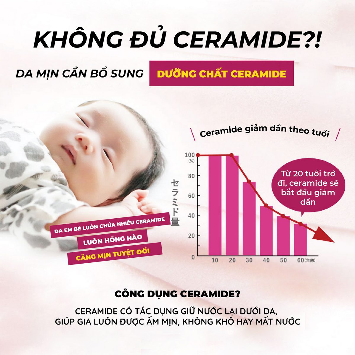 Combo 10 hộp thạch collagen jelly ceramide plus 30 thanh