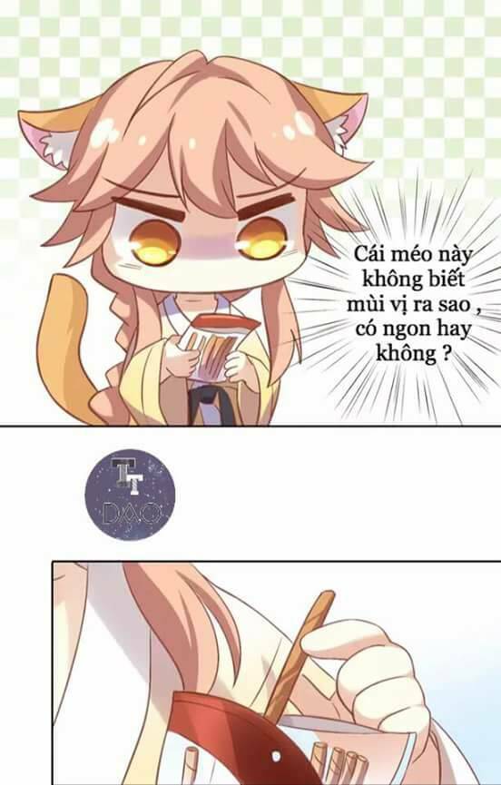 dưới móng vuốt mèo chapter 6 30