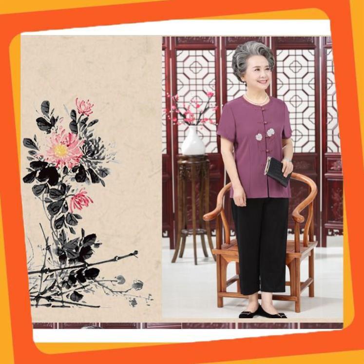 Bộ quần áo cho người già, trung niên