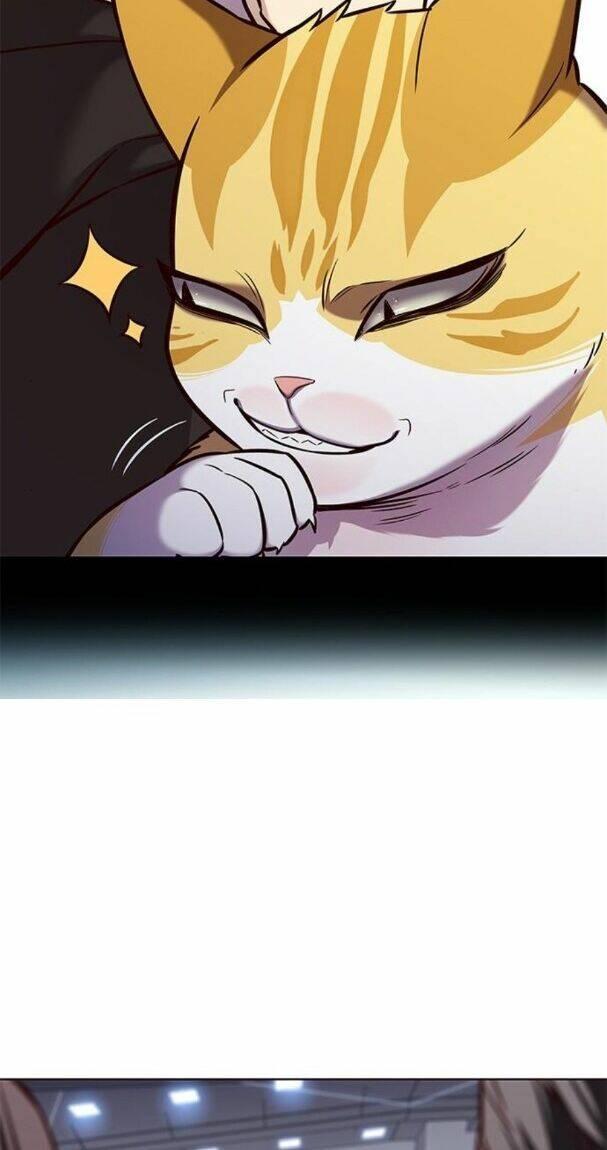 biến thân thành mèo chapter 176 51