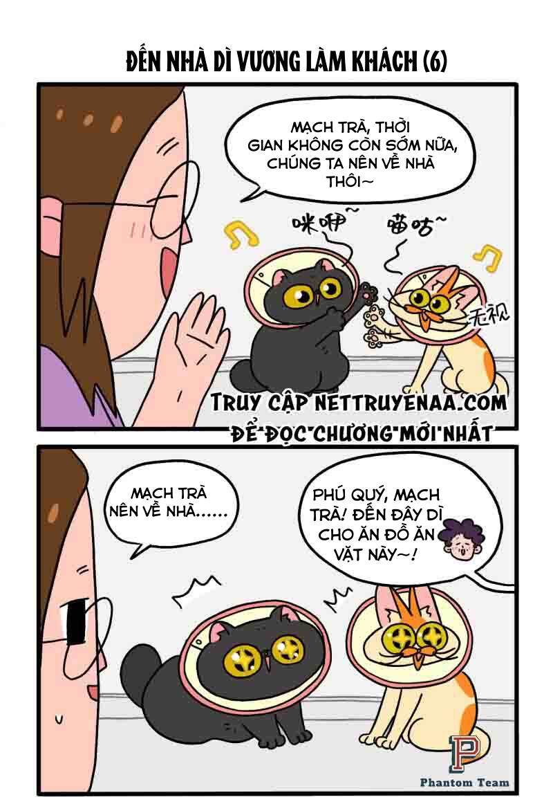 a mãn và mạch trà chapter 22.1 5