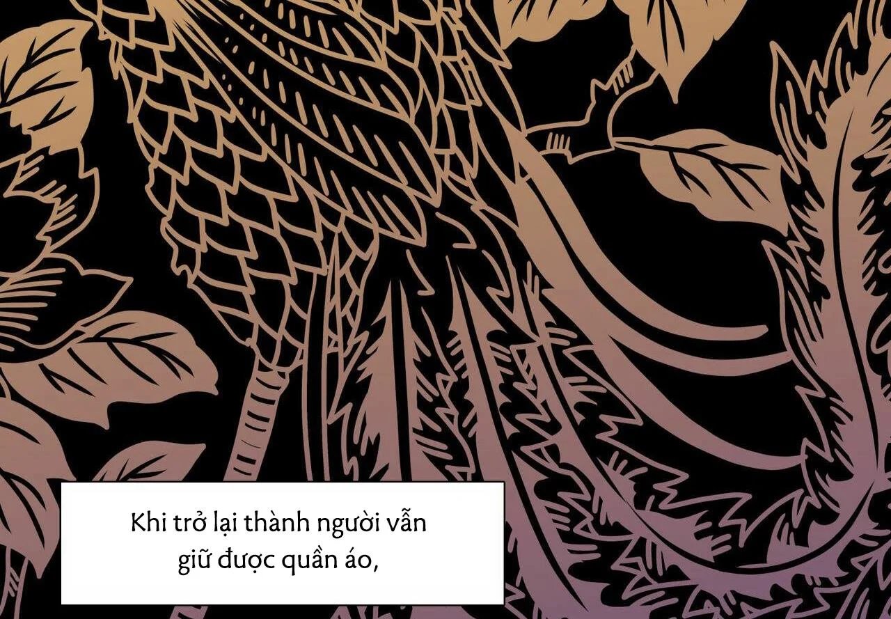 không chốn yêu đương chapter 65 6