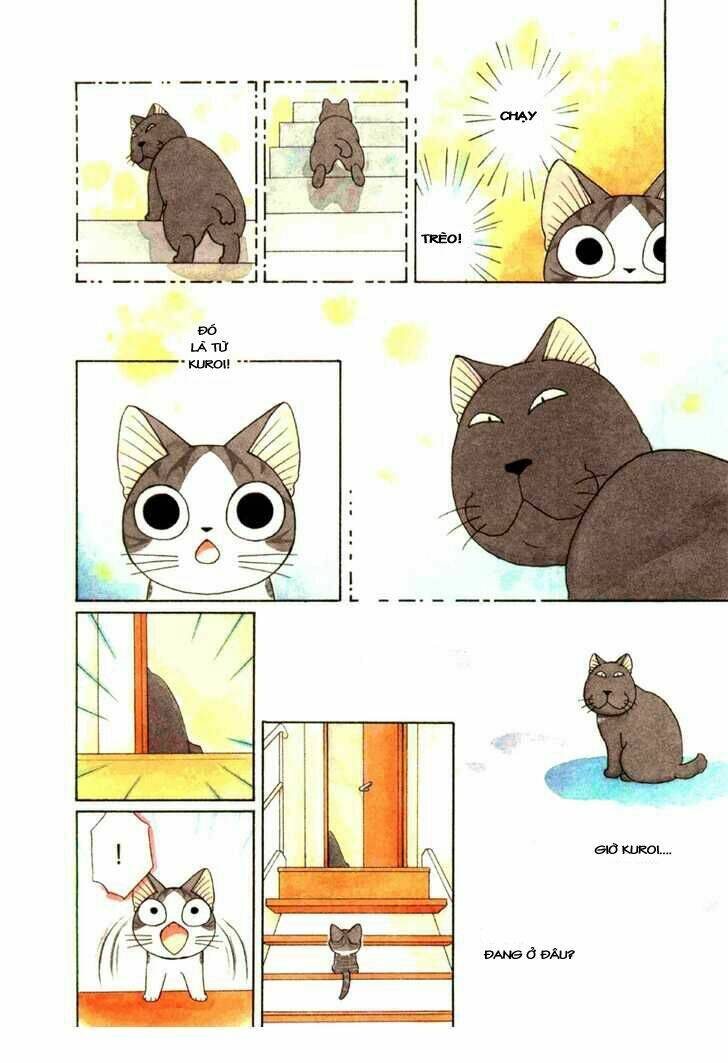 chi's sweet home chapter 74 7