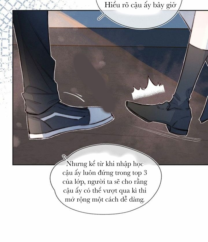 nỗi buồn của hoa cẩm tú cầu chapter 24 9