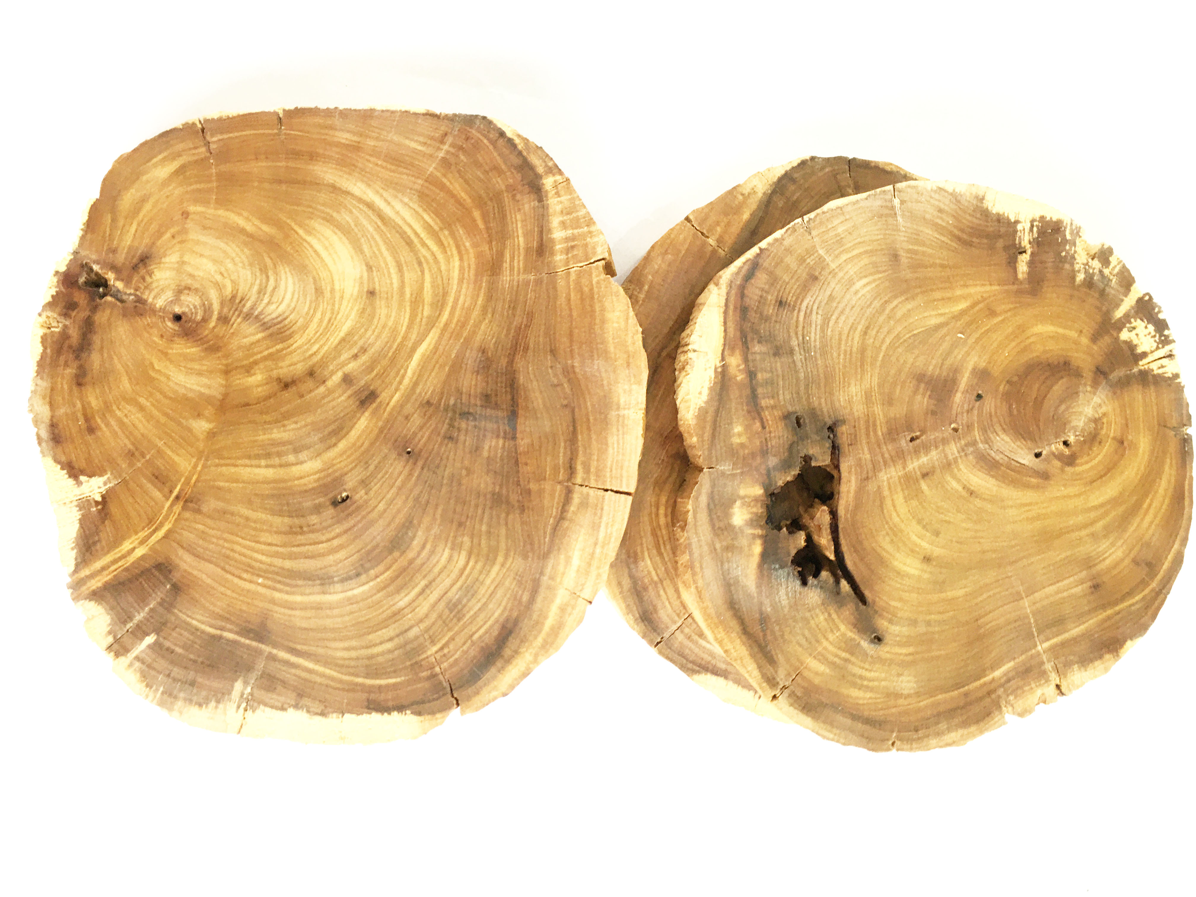 Khoanh gỗ lũa dùng trang trí, decor vintage, chụp ảnh KT 18-25cm