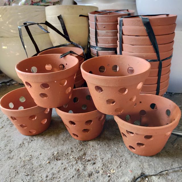 Chậu đất nung trồng lan size 23cm