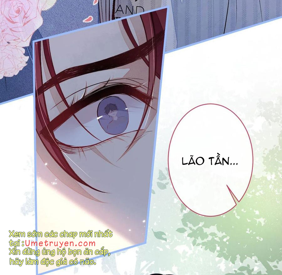 lại bị nam thần chọc trên hot search! chapter 60 46