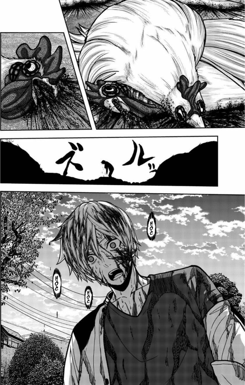 tiếng gáy sát thủ chapter 16 2
