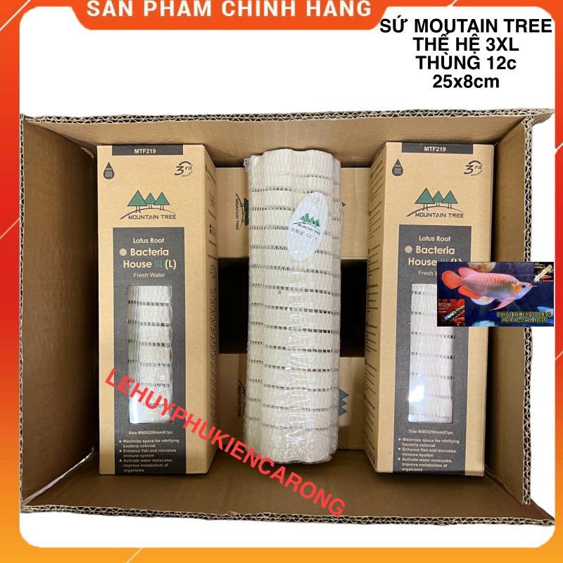Sứ Củ Sen Thế Hệ 3 Mountain Tree - Size 25cm x 8cm