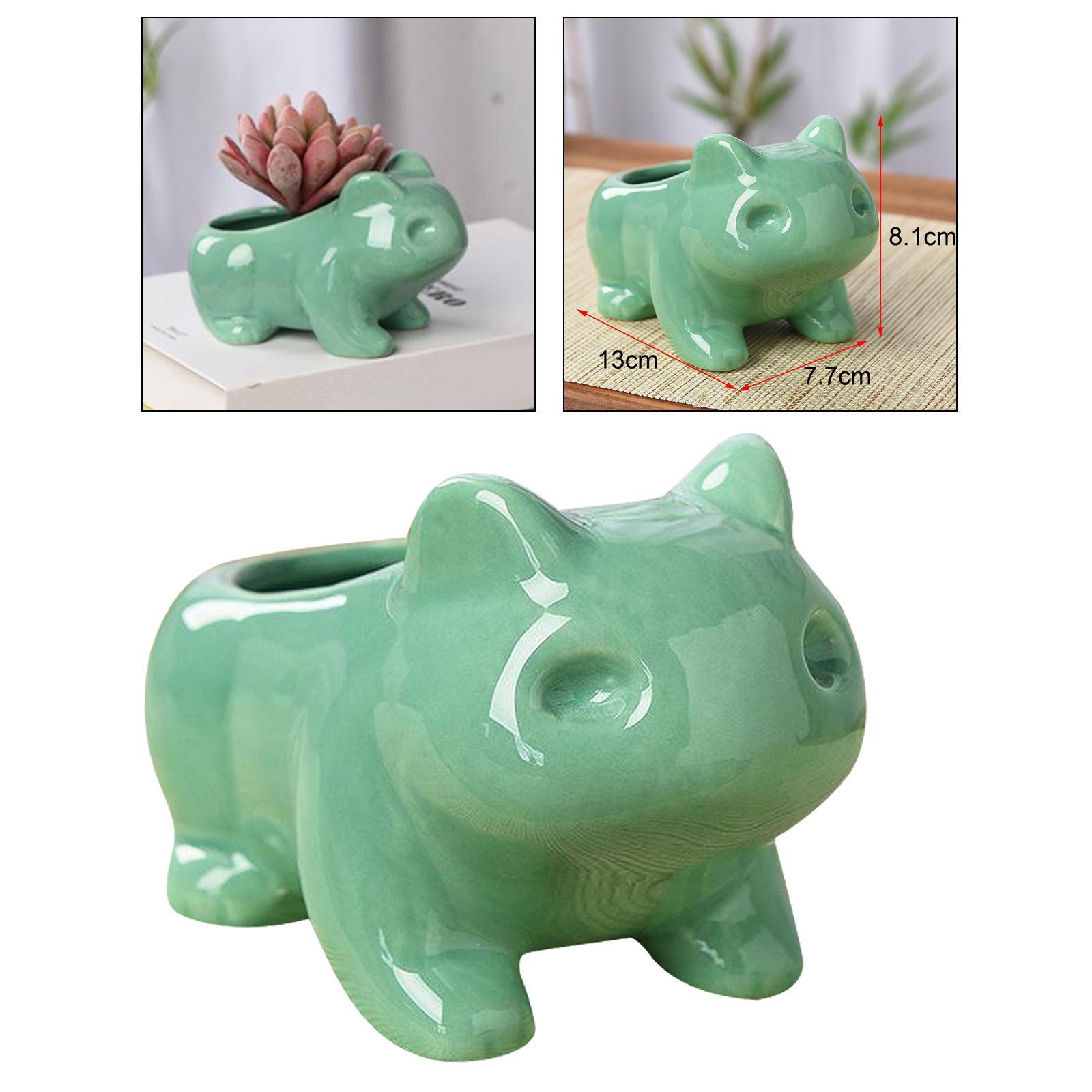 Cute Cartoon Frog Shaped Ceramic Succulent Cactus Pot Decor M