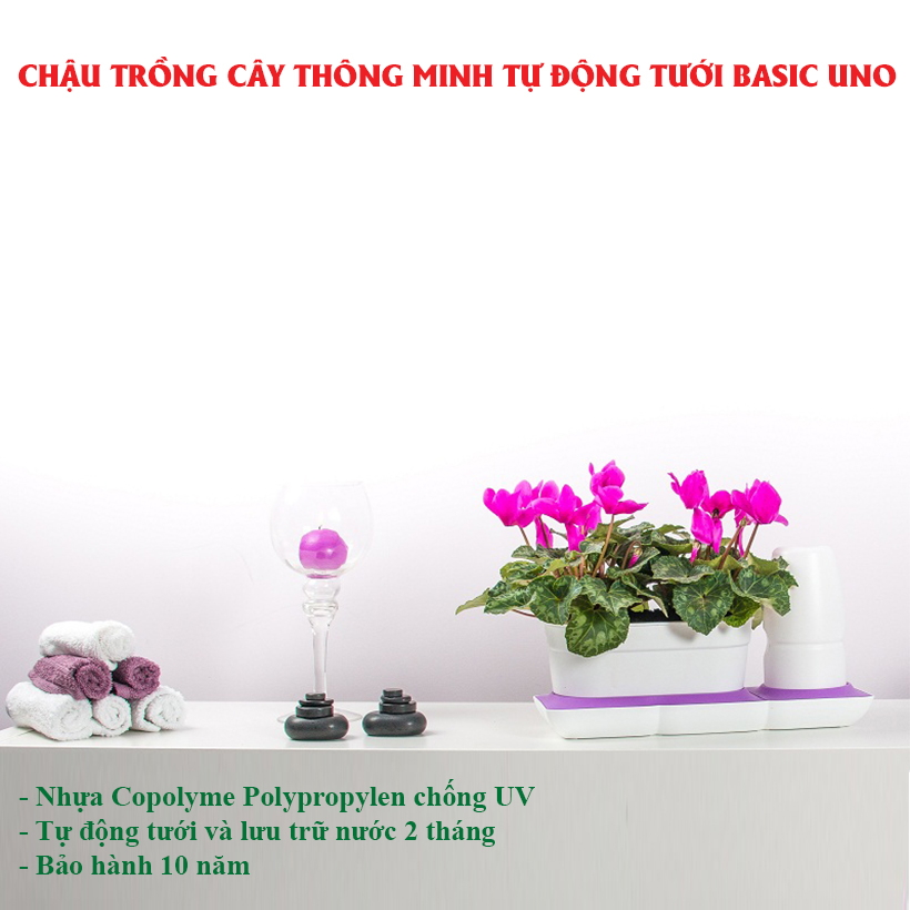 CHẬU TRỒNG CÂY ĐỂ BÀN THÔNG MINH TỰ ĐỘNG TƯỚI BASIC UNO trong 2 tháng