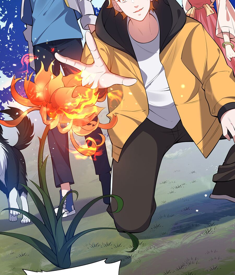 hệ thống mô phỏng linh sủng chapter 13 39