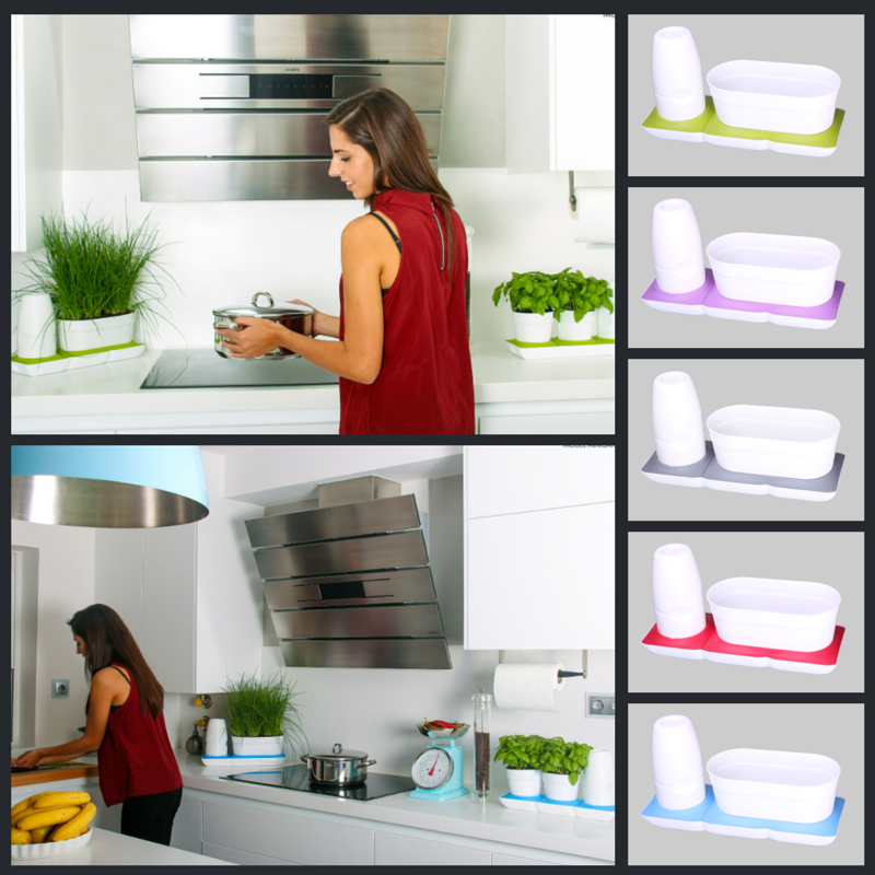 Vòng Phụ Kiện 5 Màu Color Ring Thay Thế Vòng Chậu Kit Trồng Cây Tự Dưỡng nhập khẩu Bồ Đào Nha Basic S và Basic UNO