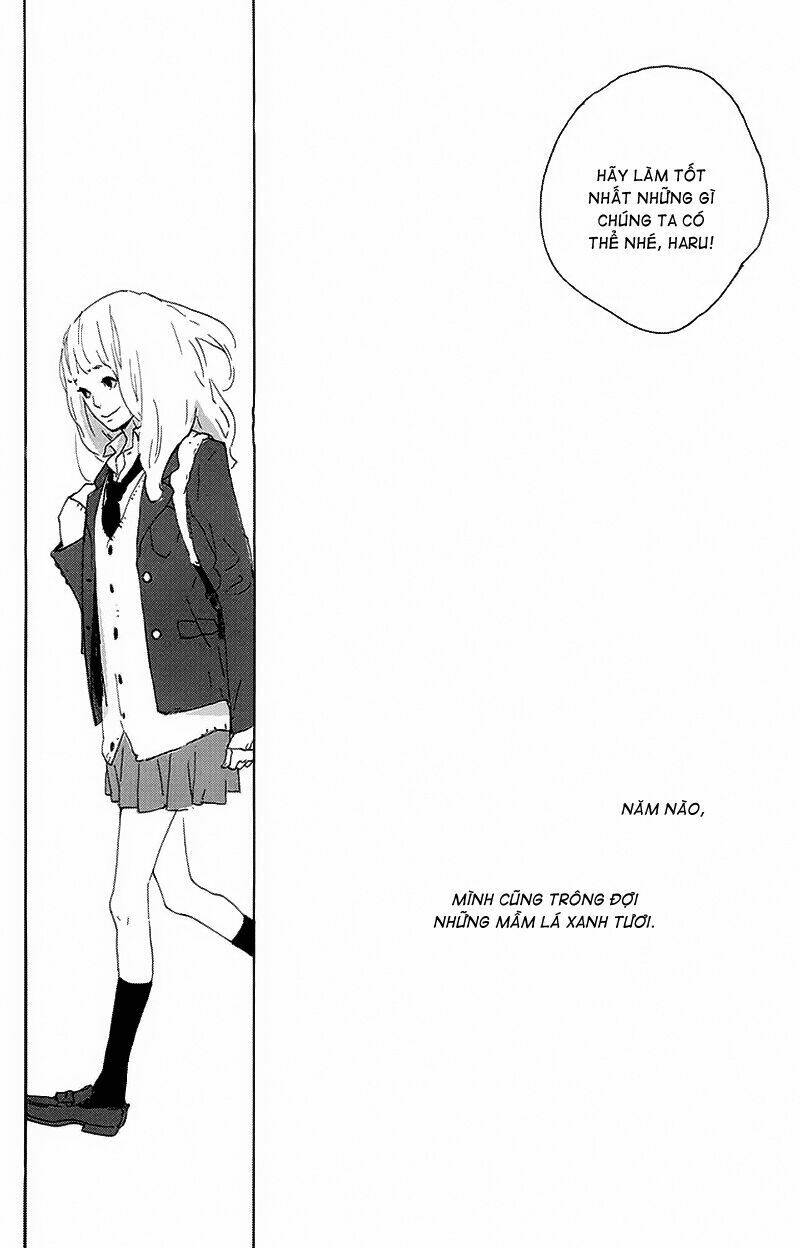 balancing toy chapter 6 25