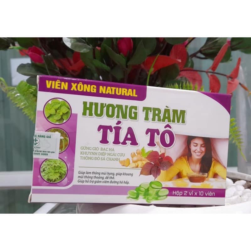 HÔP 20V VIÊN XÔNG HƯƠNG TRÀM TÍA TÔ, HƯƠNG TRÀM TÍA TÔ GỪNG GIÓ