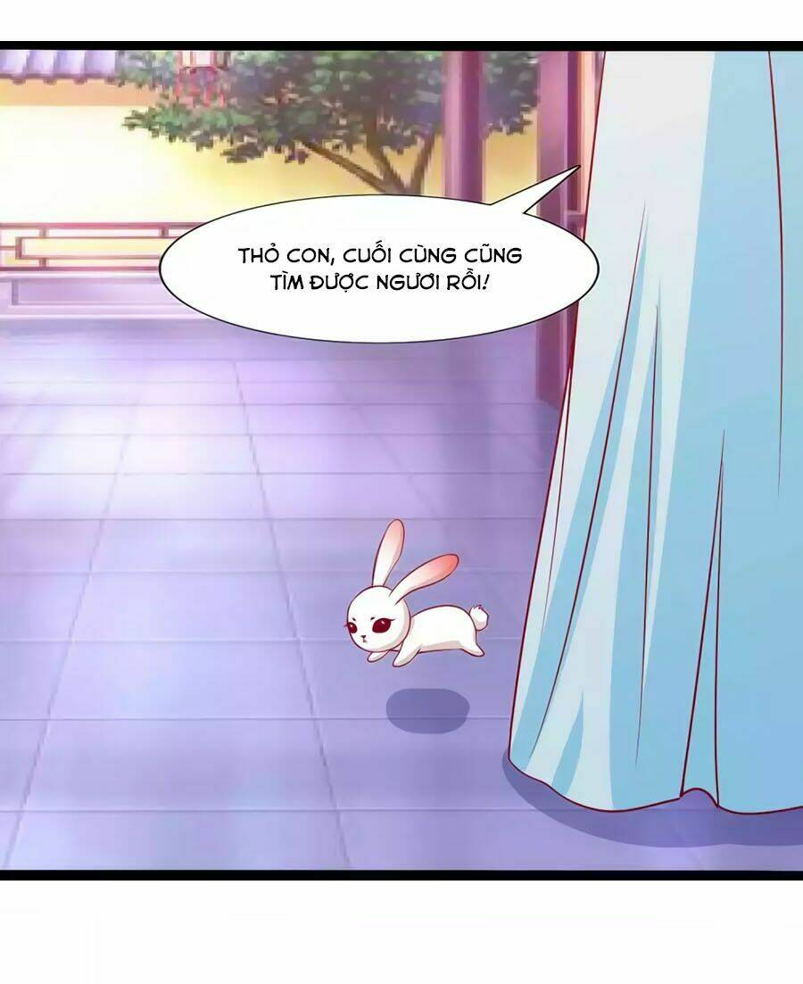 thỏ yêu tiểu vương phi chapter 77 24
