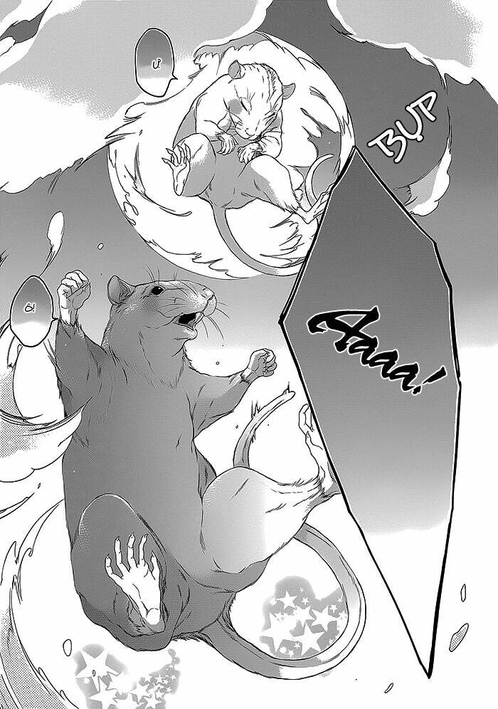 oinarisama no honey bunny chapter 12 13