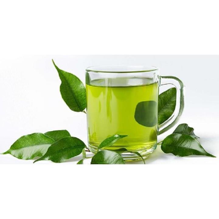 Combo 5 bầu cây giống cây trà xanh