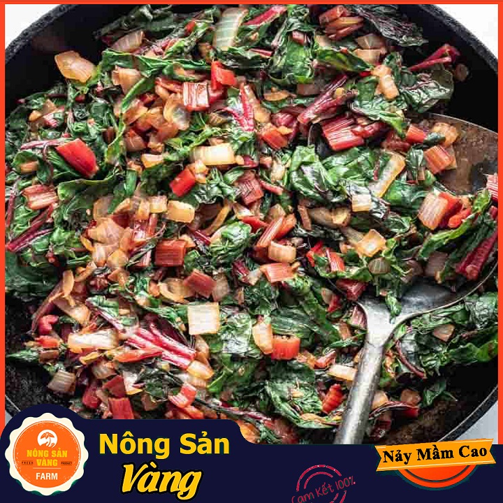 Hạt giống Cải Cầu Vồng