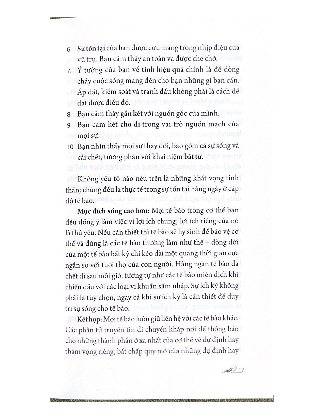 Cuốn Sách Của Những Bí Mật
