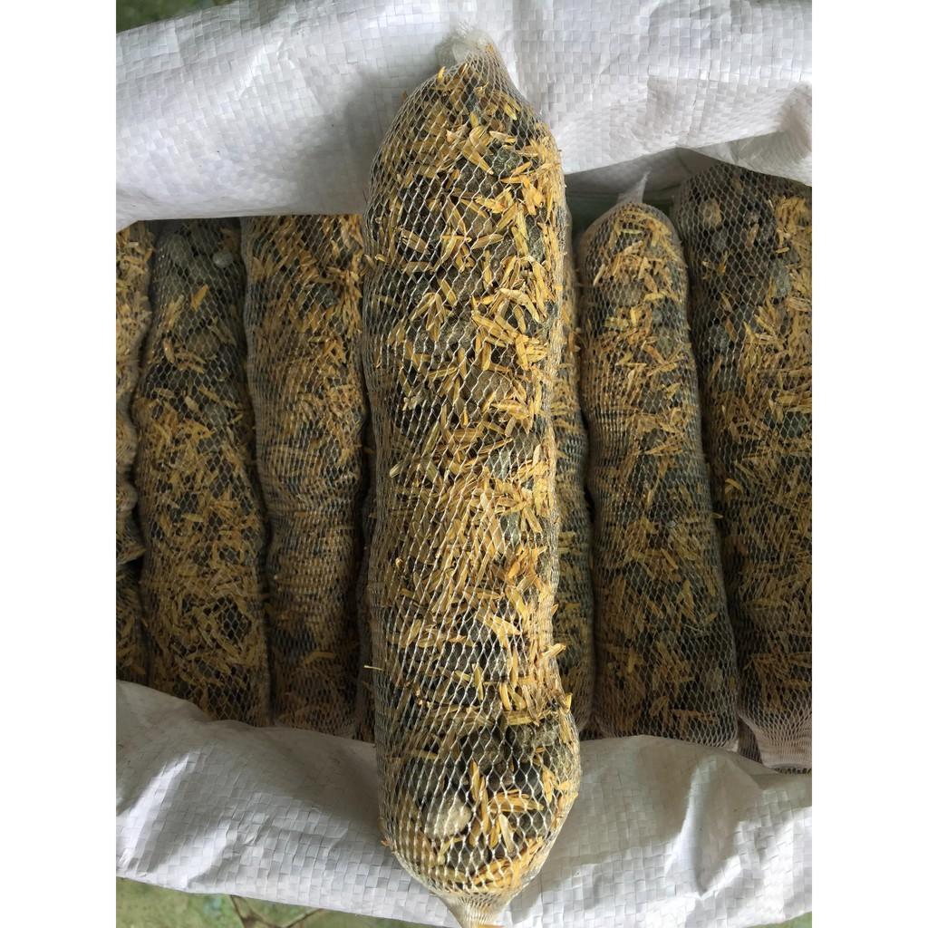 Combo 20 túi 22cm phân dê túi kết hợp phân hữu cơ Bỉ, bổ sung vi lượng