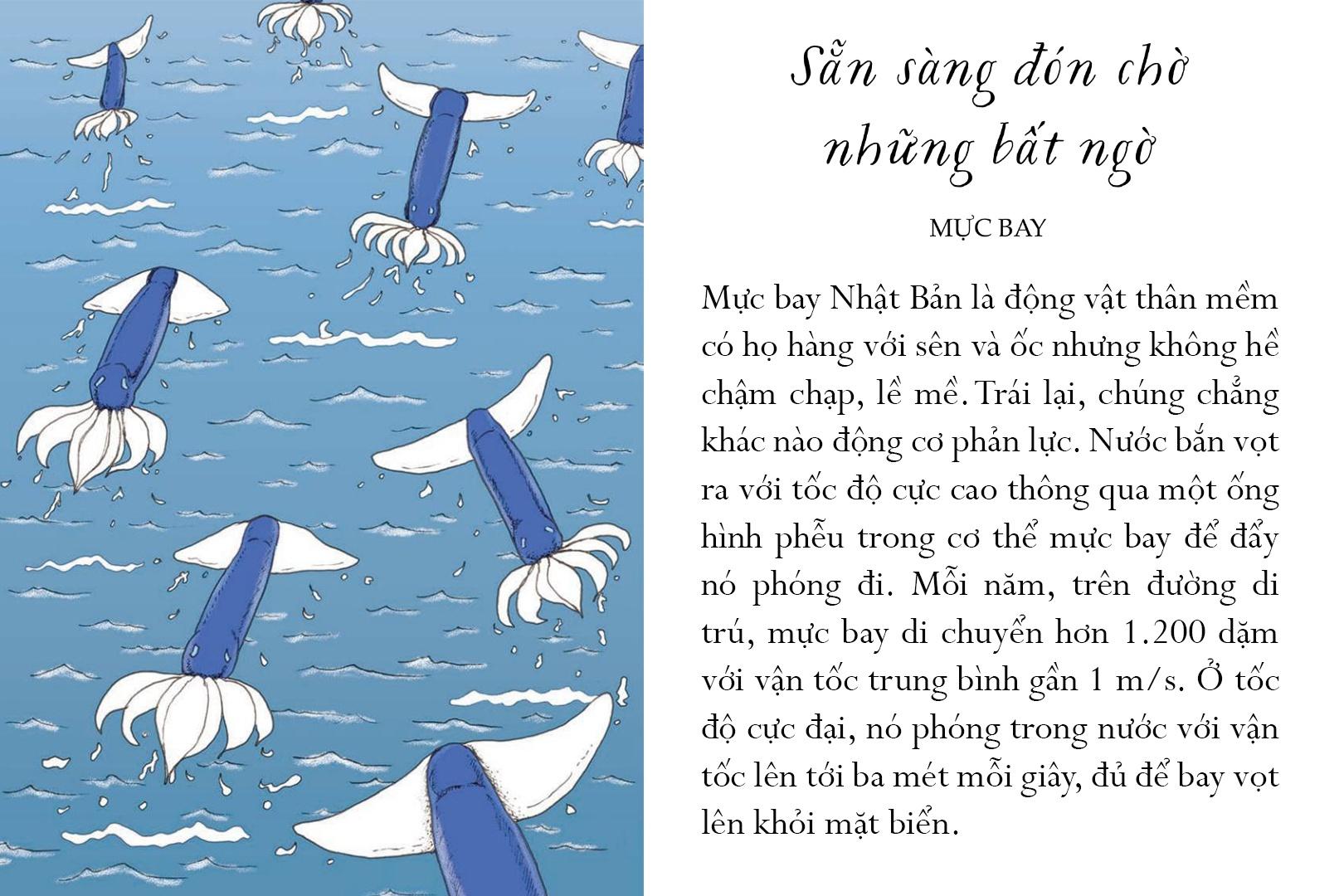 Sách Sống Một Đời Tựa Biển Khơi - Những Bài Học Trí Tuệ Nhẹ Nhàng Sâu Lắng Của Đại Dương
