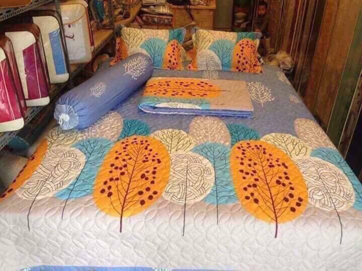 Combo ga trải giường cotton