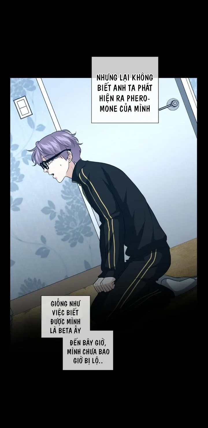 bí mật của omega k chapter 16 61