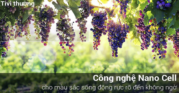 Công nghệ Nano Cell trên Smart Tivi LG 4K 75 inch 75SM9000PTA