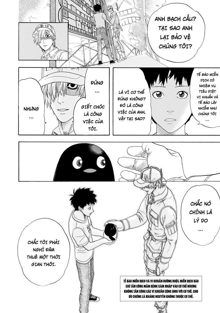 hataraku saibou! chapter 23 12