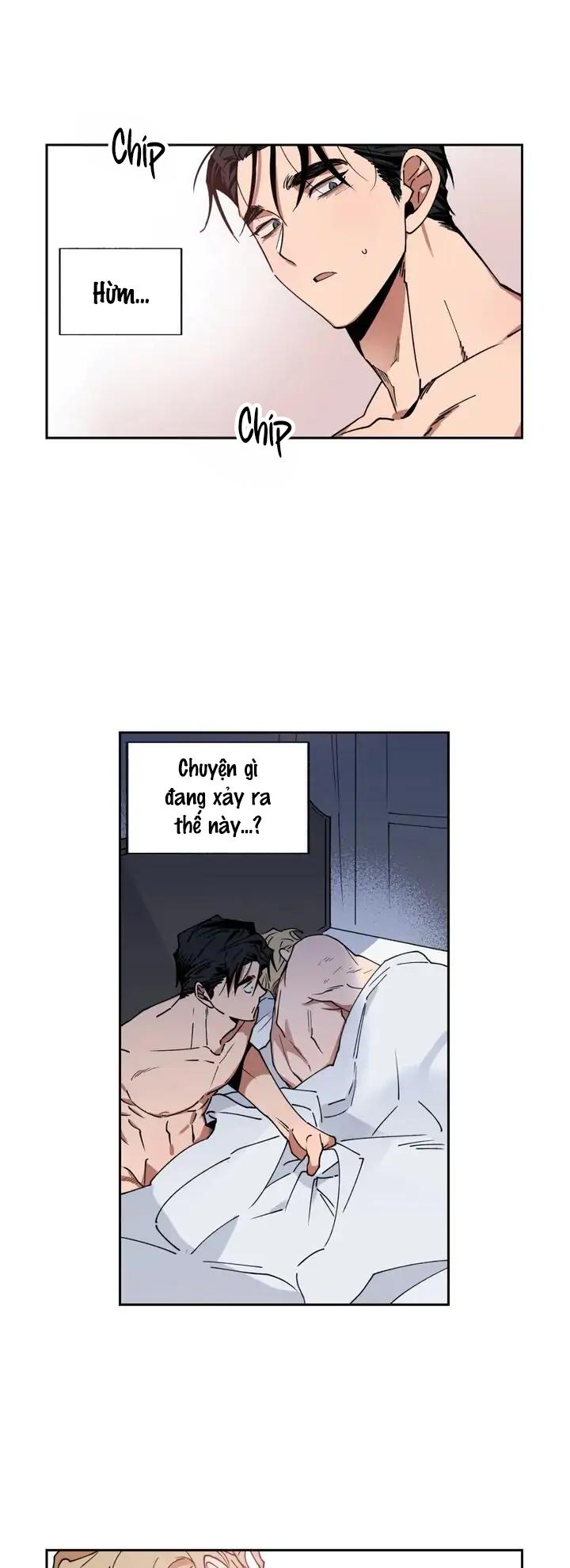 love plan chapter 1 1