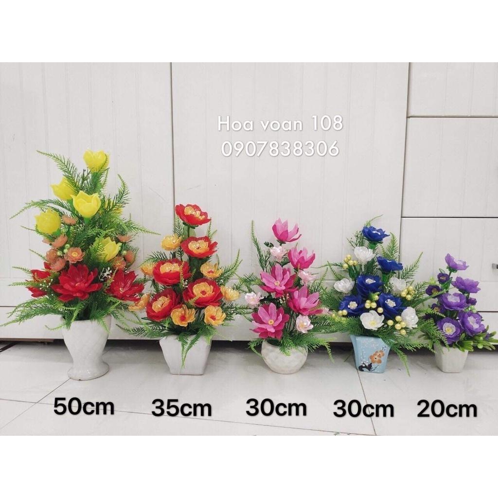 Chậu hoa cao 30m ngang 23cm