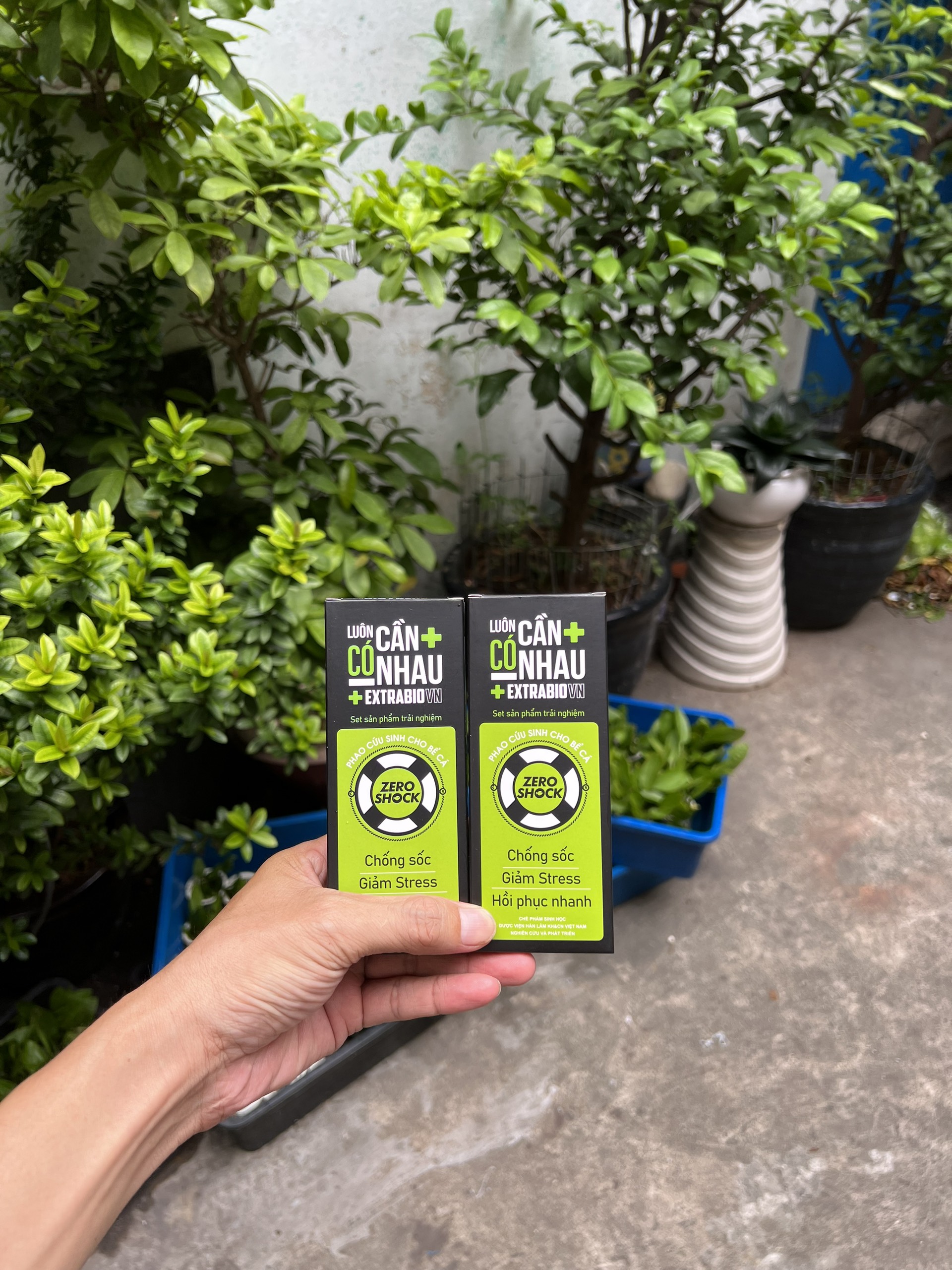 Zero Shock – Chống sốc và giảm Stress cá cảnh- 4 TÉP 10ML/HỘP- sản phẩm của Extrabio