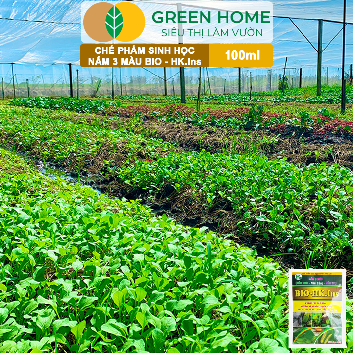 Phân Bón Vi Sinh Nấm 3 Màu GreenHome, Hoàng Kim, Gói 100ml, Trừ Tuyến Trùng, Rệp Sáp, Sâu Vẽ Bùa