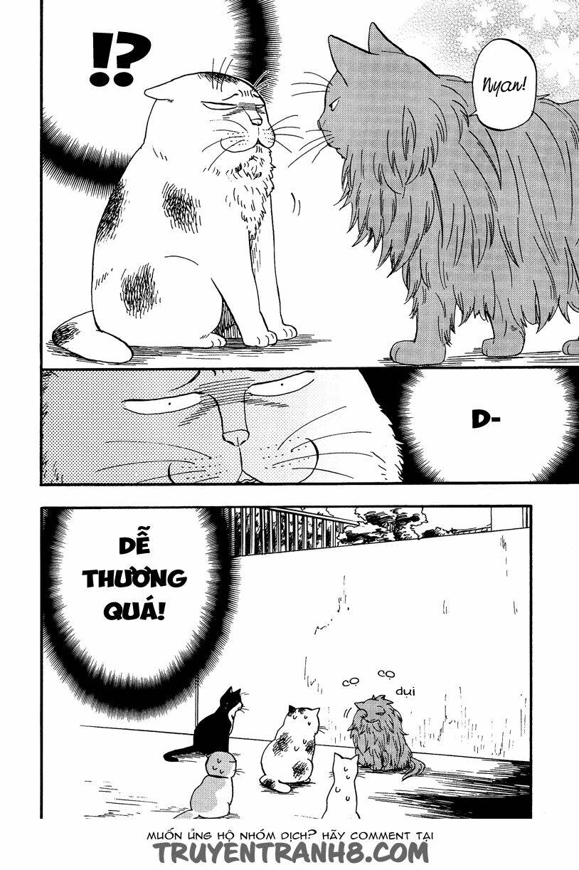 tui là busamen! chapter 5 7