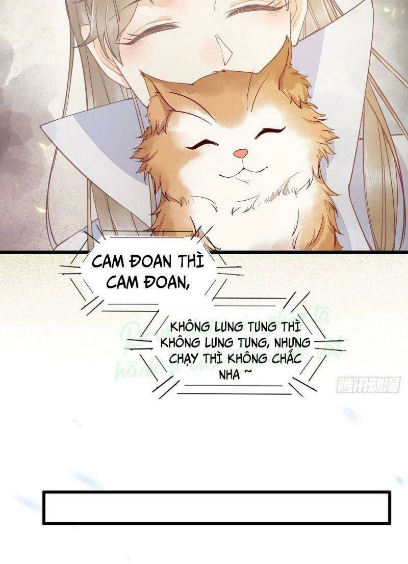 sát thủ vương phi không dễ chọc chapter 35 35
