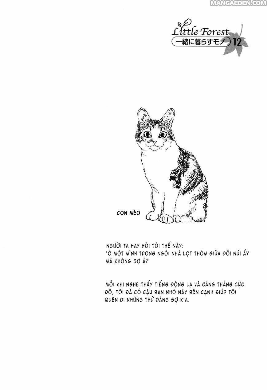 little forest chapter 28 10