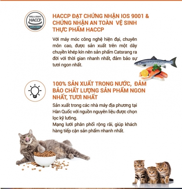 Thức Ăn Cho Mèo Con - Catsrang Kitten 400g