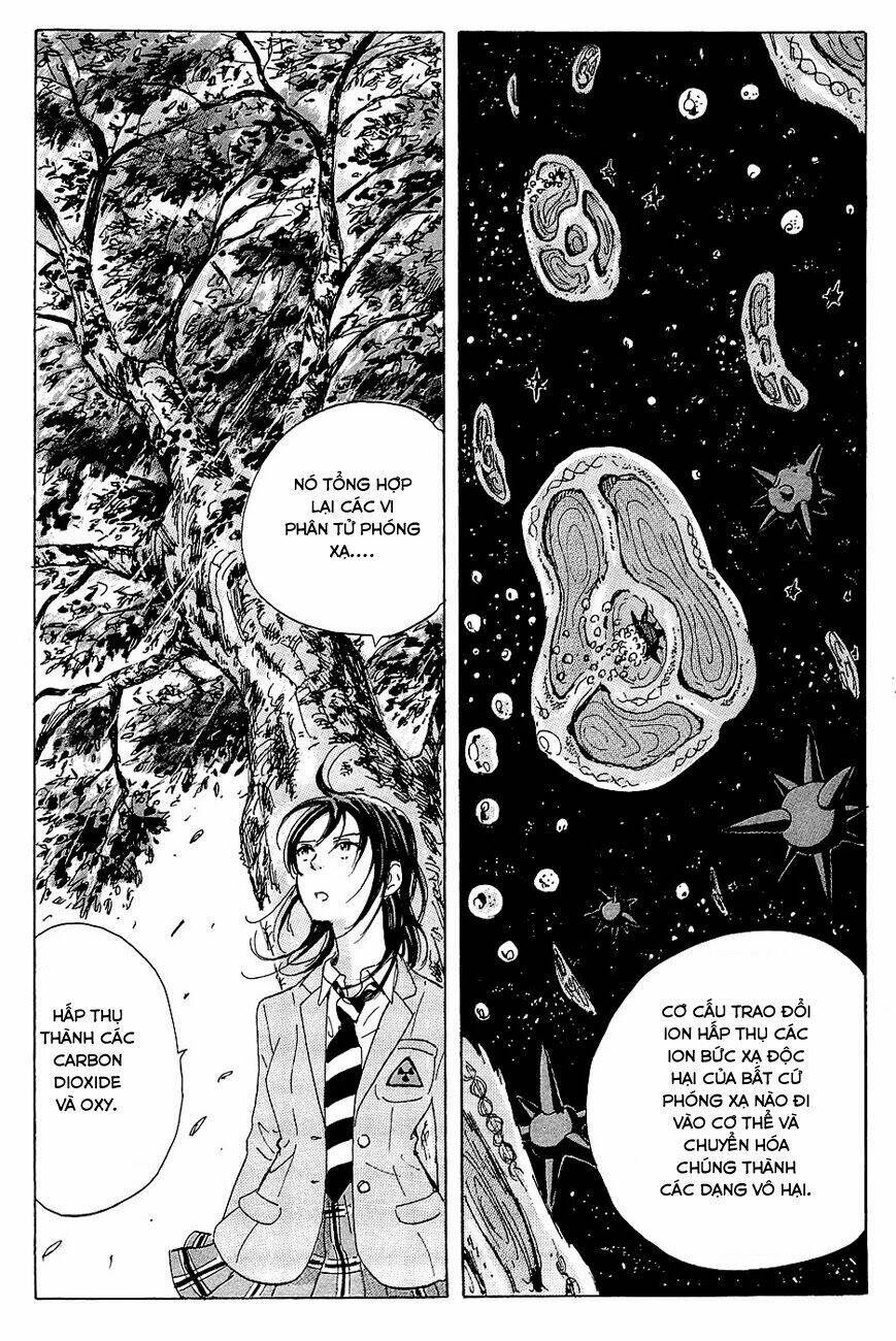 cúp quốc sư tử chapter 13 21