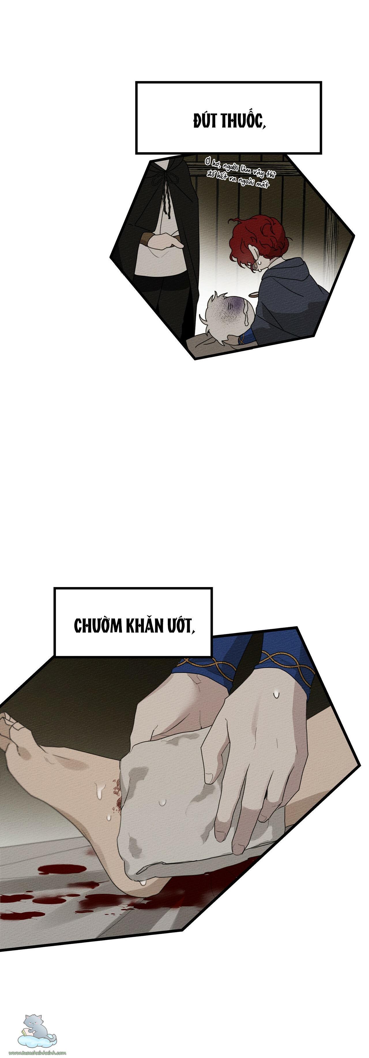 dưới tán cây sồi chapter 40 35